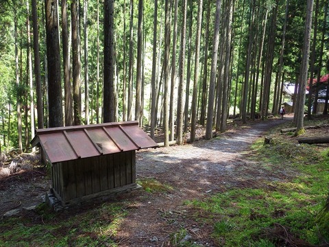 WG3_9336