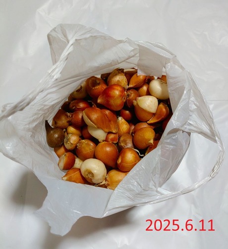 1-KIMG20250611_134941878