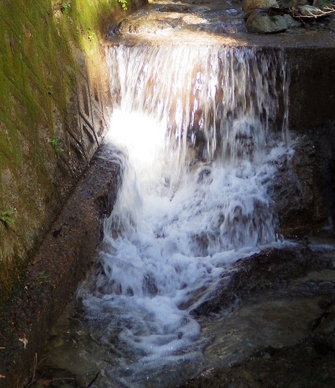 WG3_7759