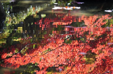 上野⑤水面の紅葉(金剛輪寺)