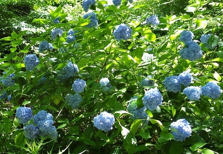 WG3_2954 (2)
