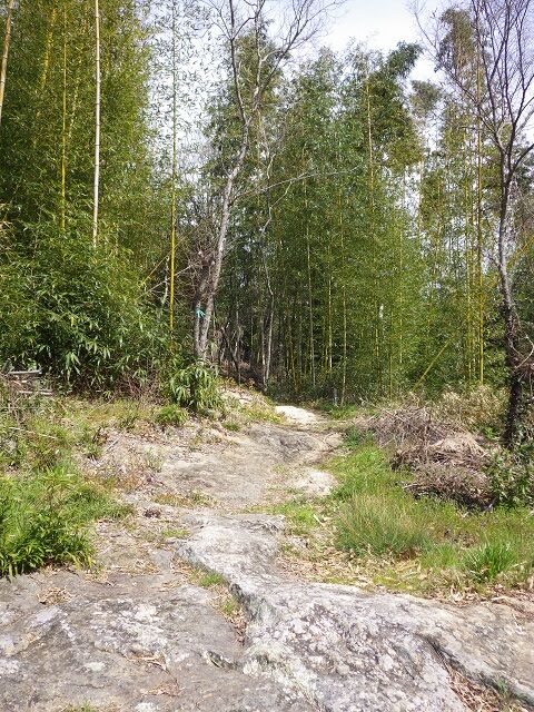 WG3_4678
