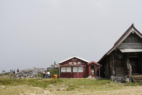 ALP01642