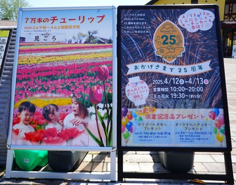3-DSC04636