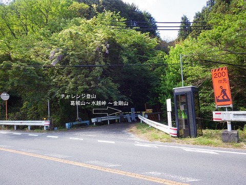 WG3_5889