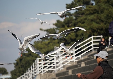 上野①いただきます(浜寺公園)