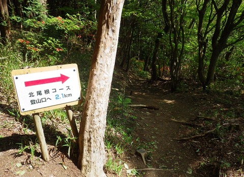 WG3_9468