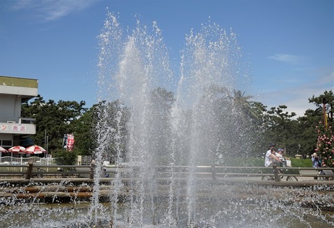 DSC03660