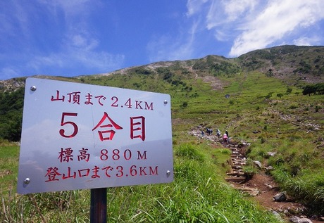 WG3_3028