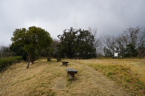 DSC04552