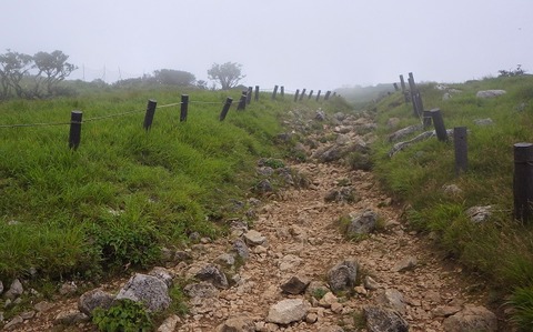 WG4_6724