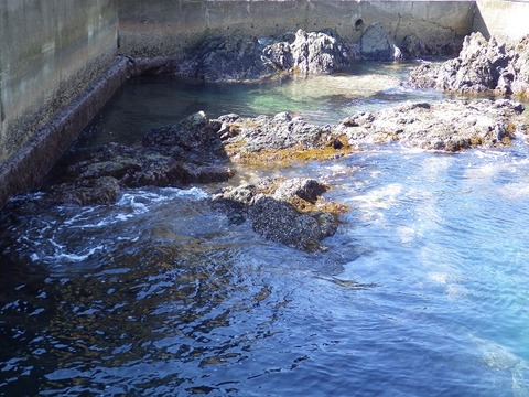 WG3_4353