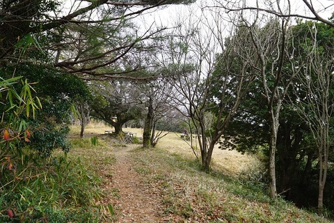 DSC04549
