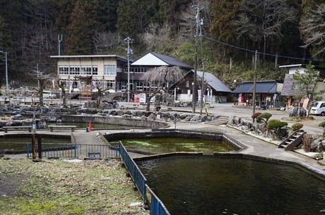 35-DSC04275