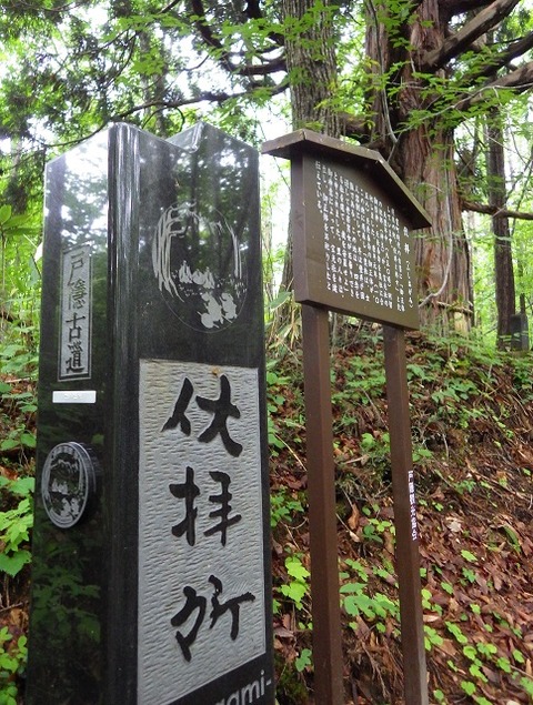 WG3_3215