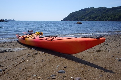 WG3_9740