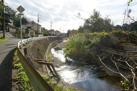 DSC04570