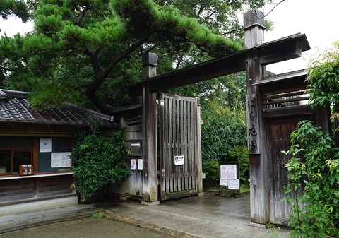 DSC01955