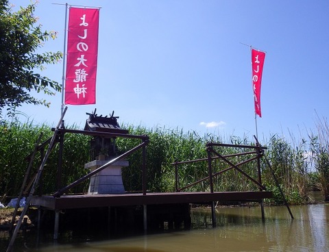 WG3_6538
