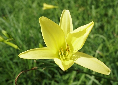 ALP05398