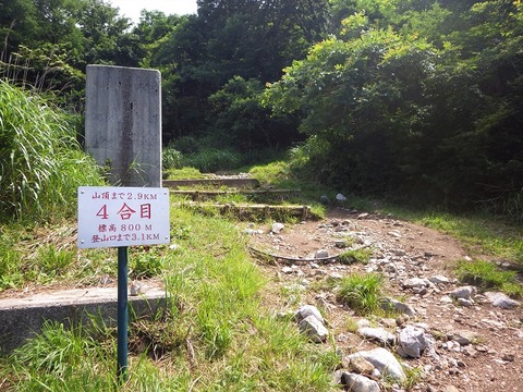 WG4_6701