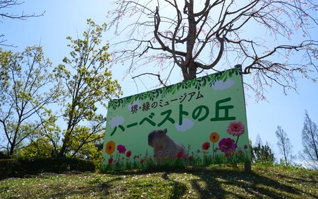 2-DSC04635