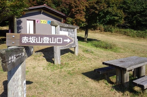 WG3_7239
