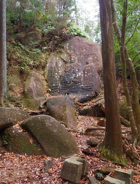 WG3_7604