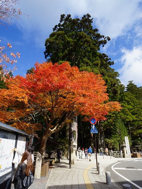 DSC00619