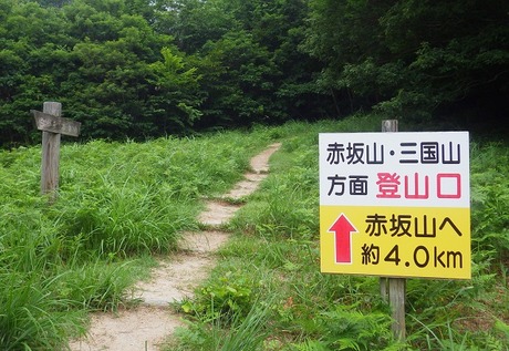 WG3_2826