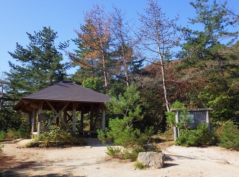WG3_7251