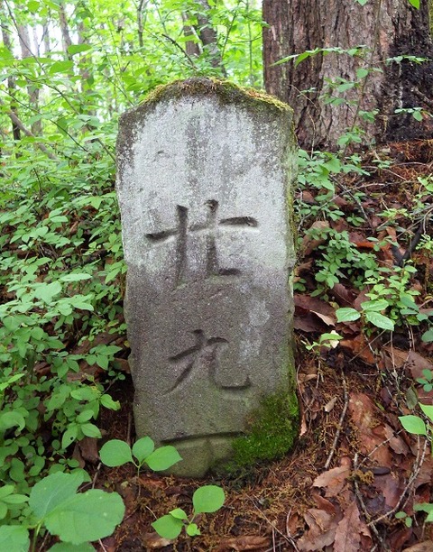 WG3_3177
