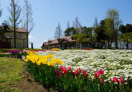 5-DSC04638