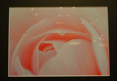 DSC02560