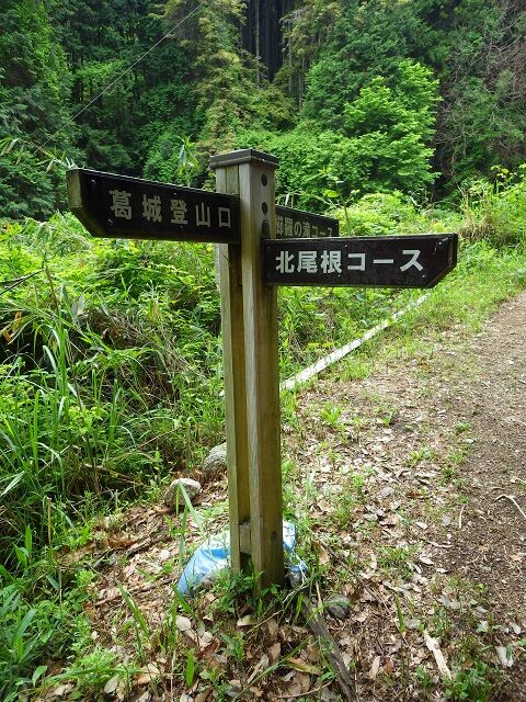 WG3_9440