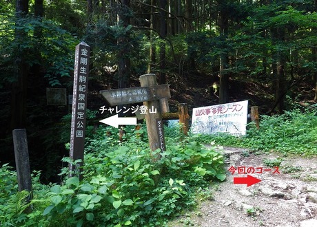 WG3_2955