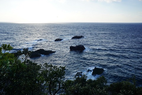 DSC04784