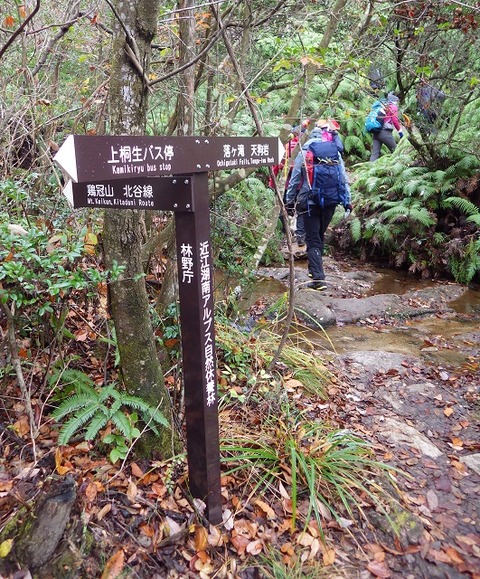 WG3_7564
