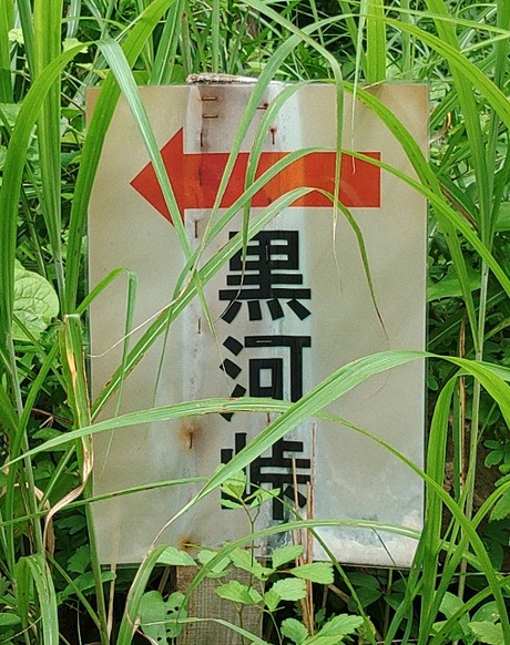 KIMG2799
