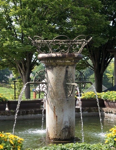 DSC04570
