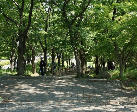 DSC01720
