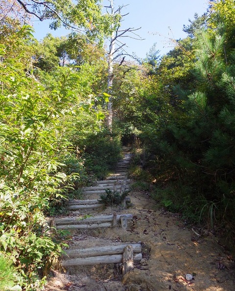 WG3_7240