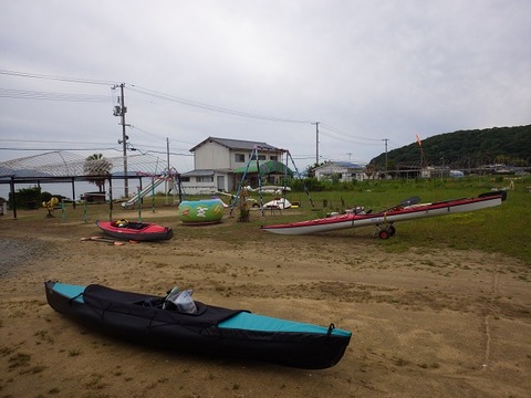 WG3_9741