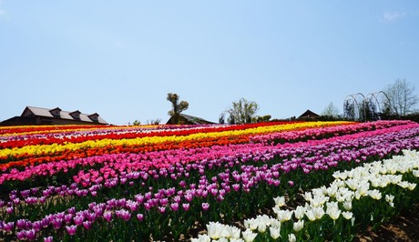 34-DSC04673