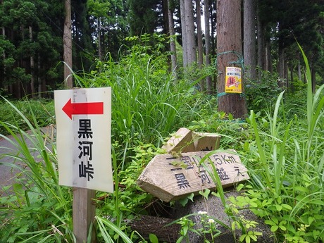 WG3_2751