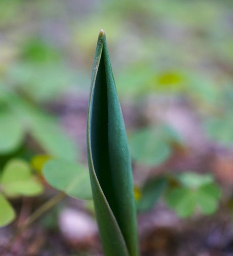 9-DSC05508