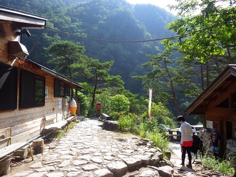 WG3_3536