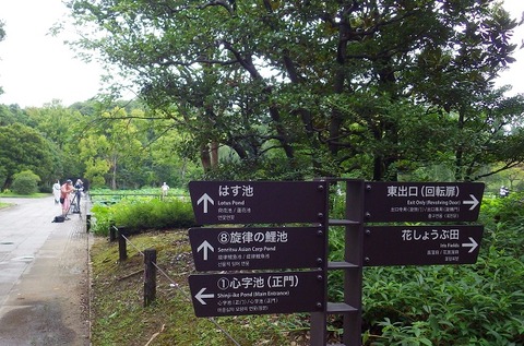 WG3_0138 (2)