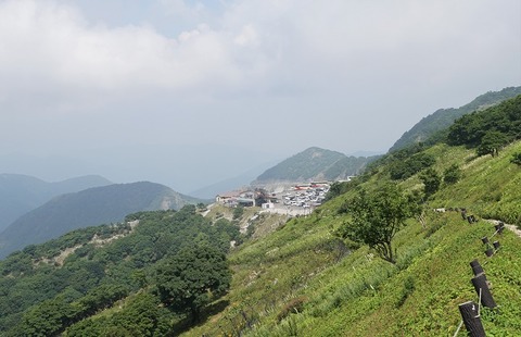 ALP01677