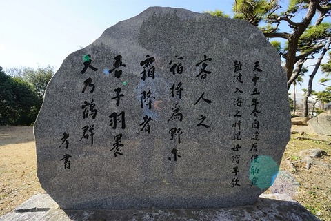 DSC02237